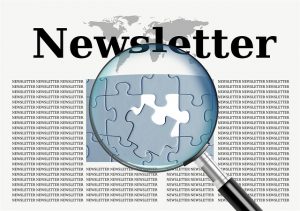 Read more about the article What to Include in Your Email Newsletter