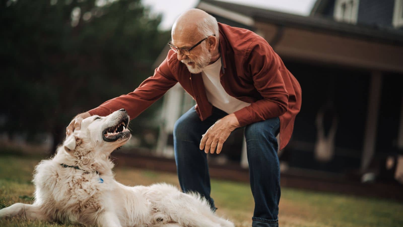 Volunteering in Retirement: The Benefits of Giving Back and How you Can Find Great Opportunities 11